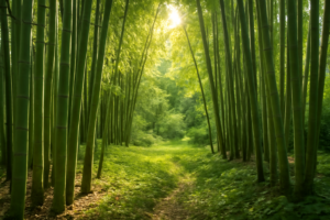 How I Harvest and Sell Bamboo Poles From My Property (The Real Numbers)