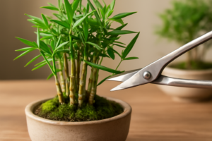 The Bonsai Pruning Shears That Finally Work on My Bamboo Forest Kit