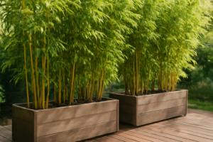 The Tall Bamboo Planter Box I Bought for Privacy Screening on My Deck
