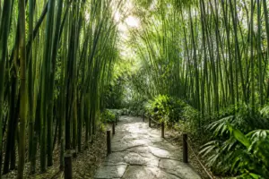 The Complete Guide to Growing Bamboo — Species, Planting, and Containment