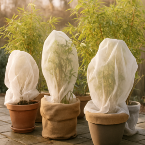 Overwintering Potted Bamboo: How to Protect Container Plants From Frost