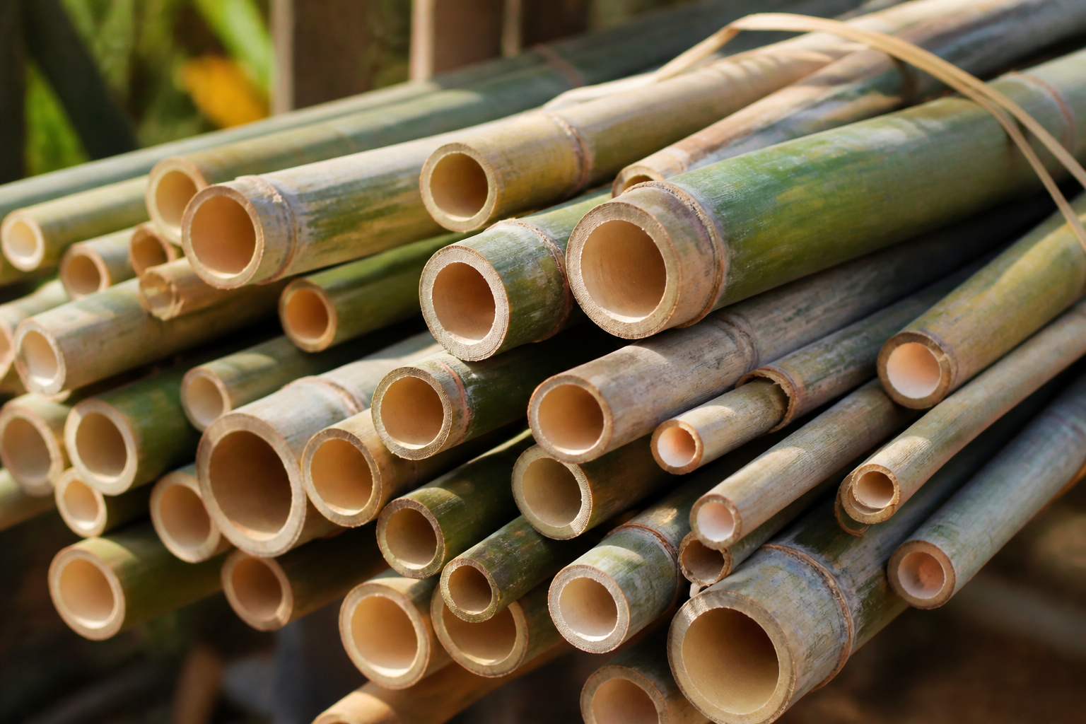 Bundled bamboo poles of varying diameters ready for building an arch